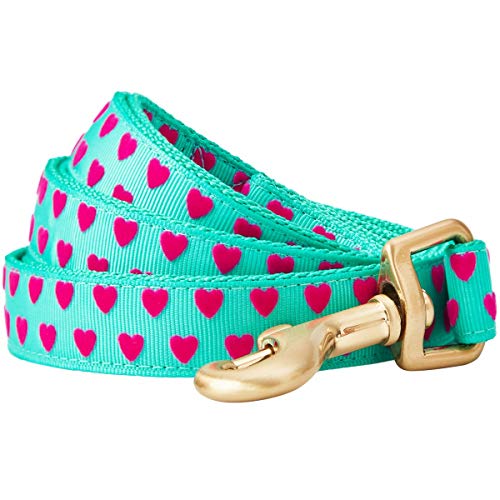 Blueberry Pet Correa para perros de Valentine con forma de corazón, color verde menta, 150 cm x 2 cm, tamaño mediano, para perros