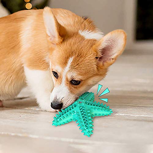 BOENTA Juguetes para Gatos Juguetes Perro Perro de Juguete de Felpa Perro masticables de Larga duración Natural El Perro mastica Green