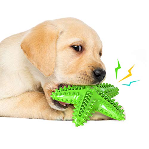 BOENTA Juguetes para Gatos Juguetes Perro Perro de Juguete de Felpa Perro masticables de Larga duración Natural El Perro mastica Green