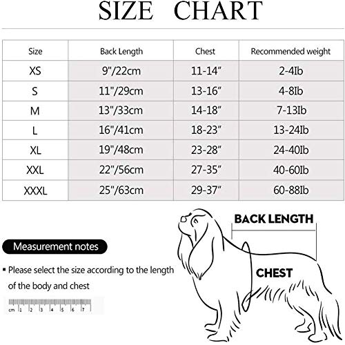 BOENTA Traje De Recuperación para Gatos Ropa para Gatos Pequeños Traje quirúrgico para Perro después de castrar Camiseta médica para Mascotas pequeña Blue,2XL