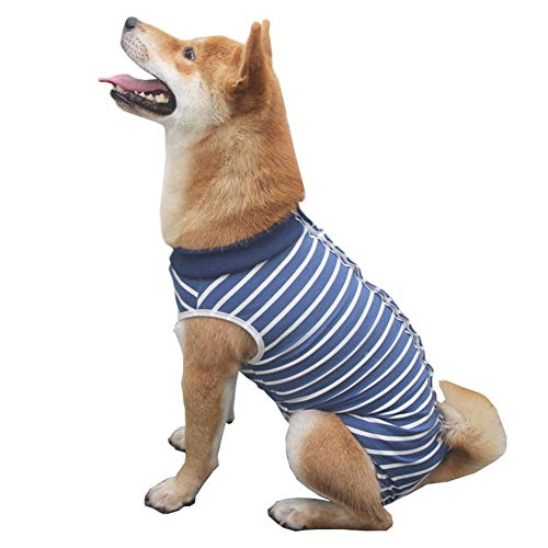 BOENTA Traje De Recuperación para Gatos Ropa para Gatos Pequeños Traje quirúrgico para Perro después de castrar Camiseta médica para Mascotas pequeña Blue,2XL