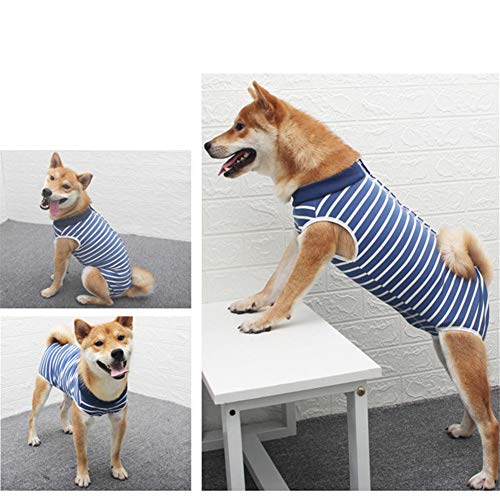 BOENTA Traje De Recuperación para Gatos Ropa para Gatos Pequeños Traje quirúrgico para Perro después de castrar Camiseta médica para Mascotas pequeña Blue,2XL