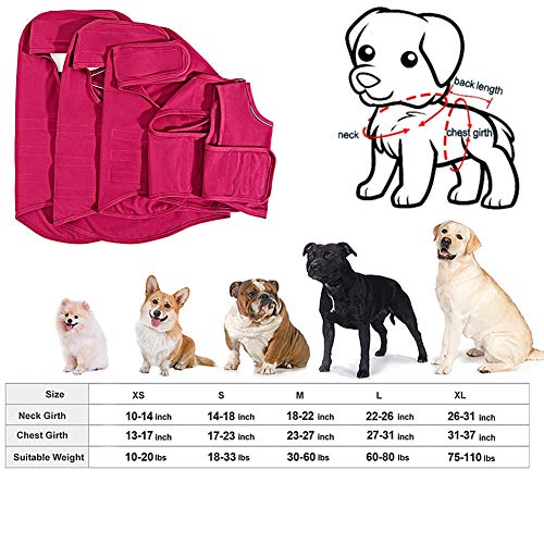 BOENTA Trajes Perro Ropa para Perros Camiseta médica para Perros Perro médico Chaleco Abrigos para Perros pequeños Ansiedad Abrigo de Perro Blue,XS