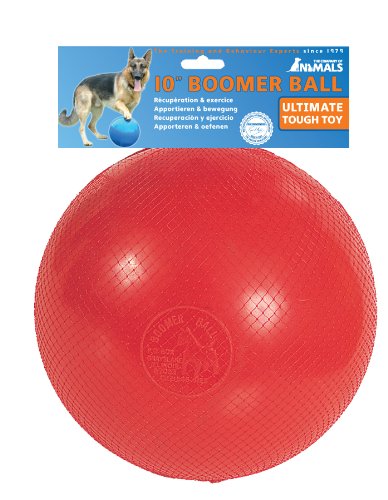 Boomer Ball