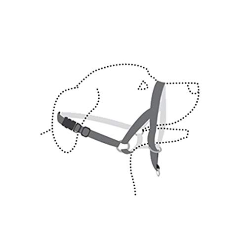 Bozal Collar educador para Perro | Bozal de Entrenamiento para Perro | Bozal Entrenamiento Talla M