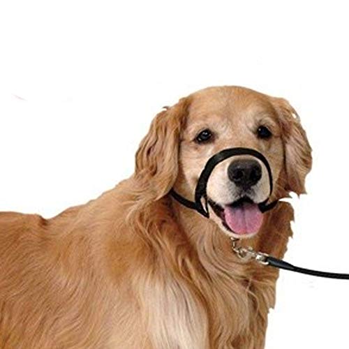 Bozal Collar educador para Perro | Bozal de Entrenamiento para Perro | Bozal Entrenamiento Talla S