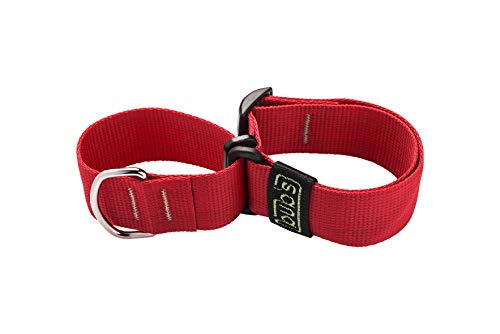 bub's Collar Martingale - Collar para Perro Grande/Mediano, antialérgico y Suave.Diseñado para Todo Tipo de Razas de Perro y Especialmente para Galgos(Comprobar tamaño: Cuello 26 a 45) Color Rainbow