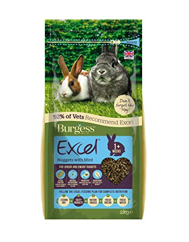 BURGESS Excel - Silla de Paseo con Menta para Adultos (10 kg)