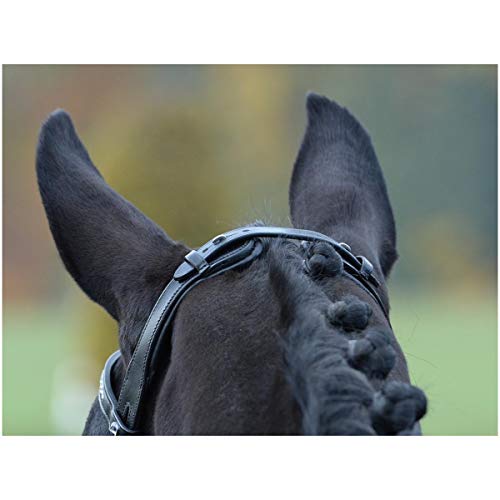 Busse William Hunter Equestrian Emotion - Brida para caballo (cristal), color negro