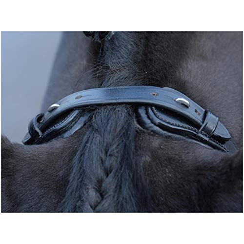 Busse William Hunter Equestrian Emotion - Brida para caballo (cristal), color negro