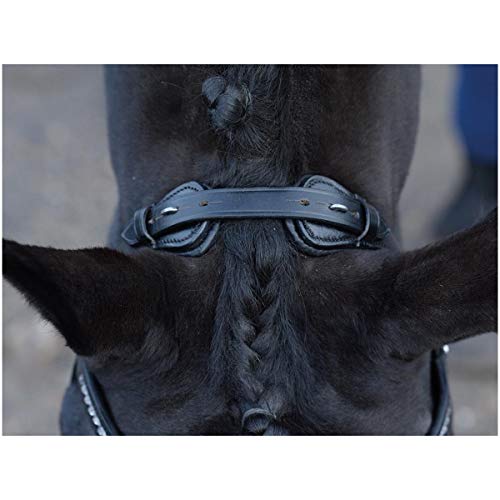 Busse William Hunter Equestrian Emotion - Brida para caballo (cristal), color negro