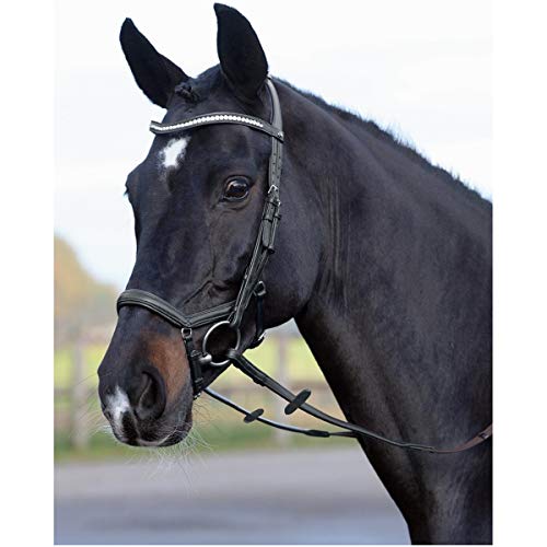 Busse William Hunter Equestrian Emotion - Brida para caballo (cristal), color negro