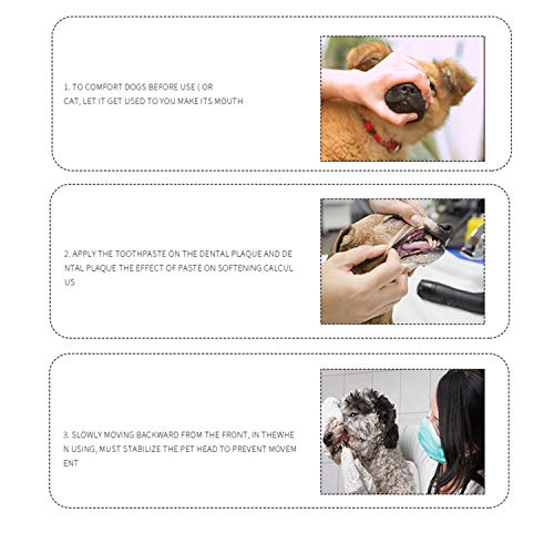 BUYFUN Herramienta de cálculo Dental para Mascotas, Gatos y Perros, Limpieza bucal y eliminación de sarro, Limpiador de Manchas dentales, Limpiador de Dientes