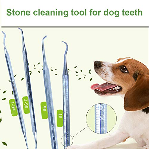 BUYFUN Herramienta de cálculo Dental para Mascotas, Gatos y Perros, Limpieza bucal y eliminación de sarro, Limpiador de Manchas dentales, Limpiador de Dientes