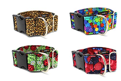 candyPet Collar Click para Perros - Modelo Mariquitas