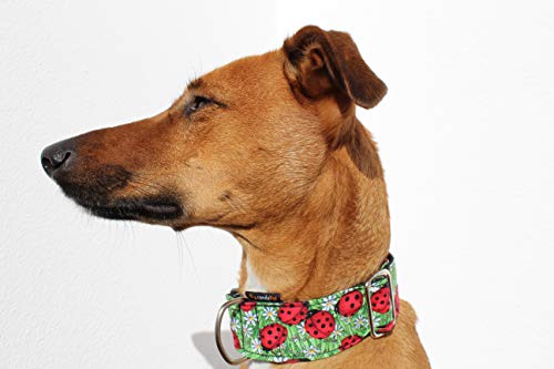 candyPet Collar Click para Perros - Modelo Mariquitas
