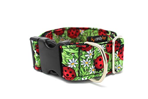 candyPet Collar Click para Perros - Modelo Mariquitas