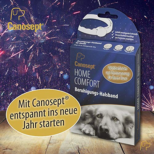 Canosept Home Comfort - Collar calmante para Perros con baldrian y Lavanda Que promueve el Bienestar y la relajación en Perros