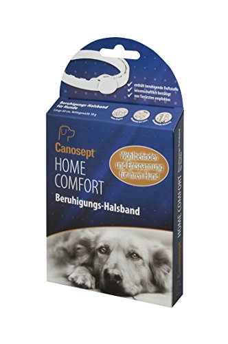 Canosept Home Comfort - Collar calmante para Perros con baldrian y Lavanda Que promueve el Bienestar y la relajación en Perros