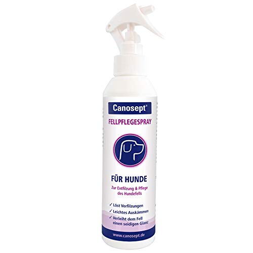 Canosept - Spray para el Cuidado del Pelo de Perros, 250 ml, para Pieles de Perros Ligeramente peinables, desenredadas y Brillantes