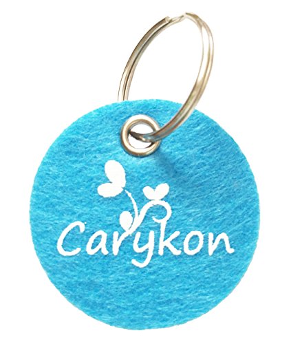 Carykon 20 pinzas para el pelo de perro, diseño de corazón, con forma de corazón, para mascotas, multicolor