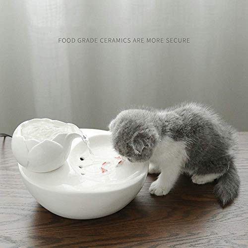 CATPETS Fuente De Agua De Cerámica para Gatos Fuente De Agua Automática Muy Silenciosa Filtro De Carbón Activado Ajustable Fuente para Mascotas Pequeñas Dispensador de Agua Ligero