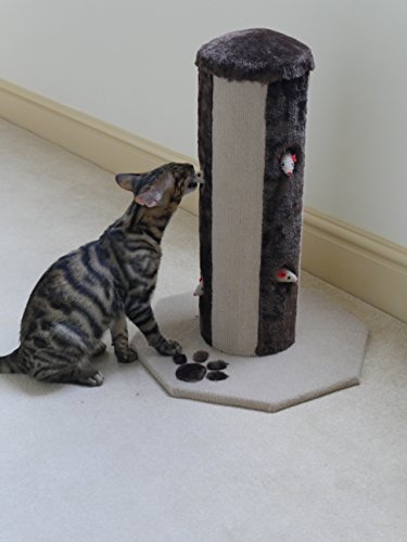 CATWALK COLLECTION Rosewood Gato arañar Puesto de Juego para Gatos o Adulto Gatos con Catnip Pop out Juguete ratón, H54 x D40 x W40, Color marrón y Crema