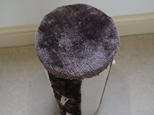 CATWALK COLLECTION Rosewood Gato arañar Puesto de Juego para Gatos o Adulto Gatos con Catnip Pop out Juguete ratón, H54 x D40 x W40, Color marrón y Crema