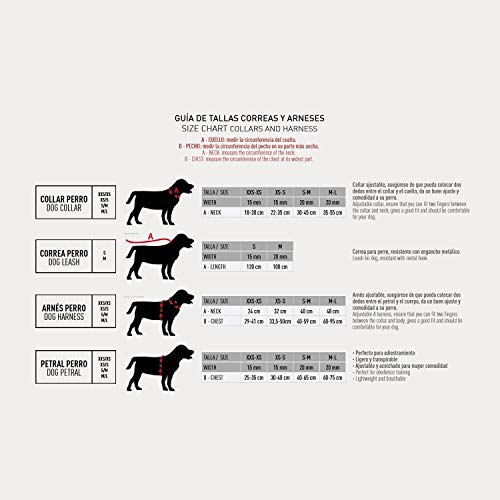 Cerdá Life'S Little Moments Arnes Para Cachorros De Marvel - Licencia Oficial Disney 80 g