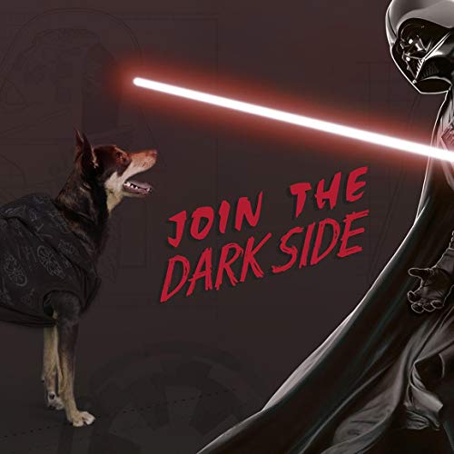 CERDÁ LIFE'S LITTLE MOMENTS Cerdá - Forfanpets | Abrigo Star Wars - Licencia Oficial Disney