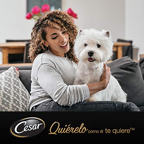 Cesar Multipack de Tarrinas de Comida Húmeda para Perros en Paté, selección de clásicos (Pack de 6 x 4 tarrinas x 150g)