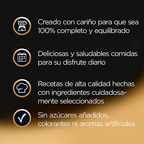 Cesar Multipack de Tarrinas de Comida Húmeda para Perros en Paté, selección de clásicos (Pack de 6 x 4 tarrinas x 150g)