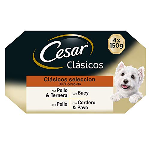 Cesar Multipack de Tarrinas de Comida Húmeda para Perros en Paté, selección de clásicos (Pack de 6 x 4 tarrinas x 150g)