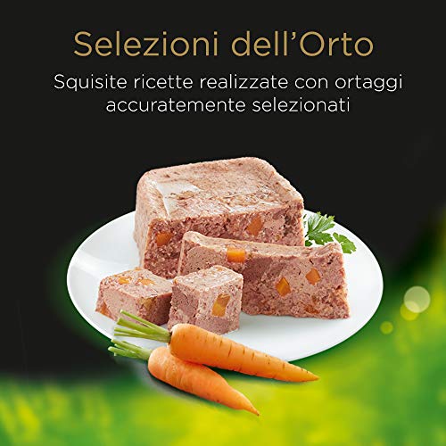 Cesar Selección del huerto Delicado paté con Pollo y Zanahorias, Comida para Perro – 14 bandejas