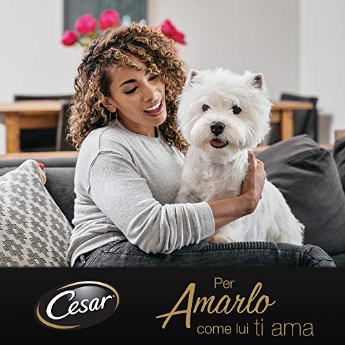 Cesar Selección del huerto Delicado paté con Pollo y Zanahorias, Comida para Perro – 14 bandejas