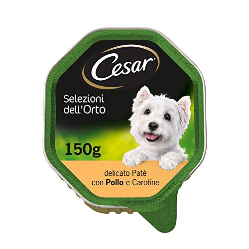 Cesar Selección del huerto Delicado paté con Pollo y Zanahorias, Comida para Perro – 14 bandejas