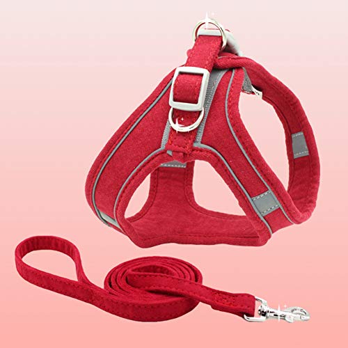 Chaleco con arnés para perro, chaleco de malla para perro, correa para el pecho, arnés para gatos y gatos.