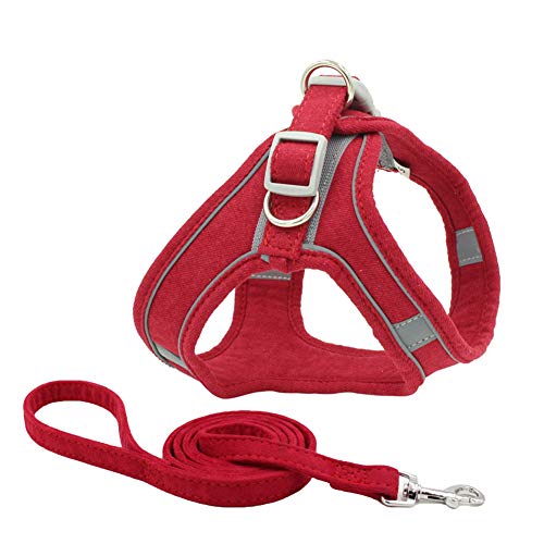 Chaleco con arnés para perro, chaleco de malla para perro, correa para el pecho, arnés para gatos y gatos.