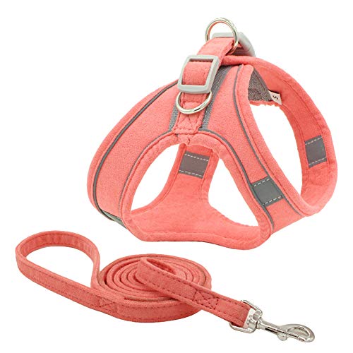 Chaleco con arnés para perro, chaleco de malla para perro, correa para el pecho, arnés para gatos y gatos.
