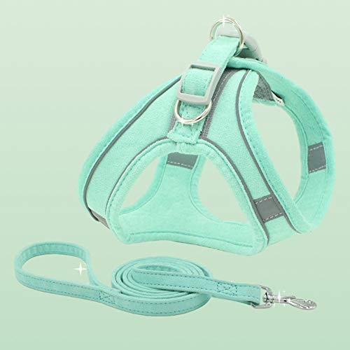 Chaleco con arnés para perro, chaleco de malla para perro, correa para el pecho, arnés para gatos y gatos.
