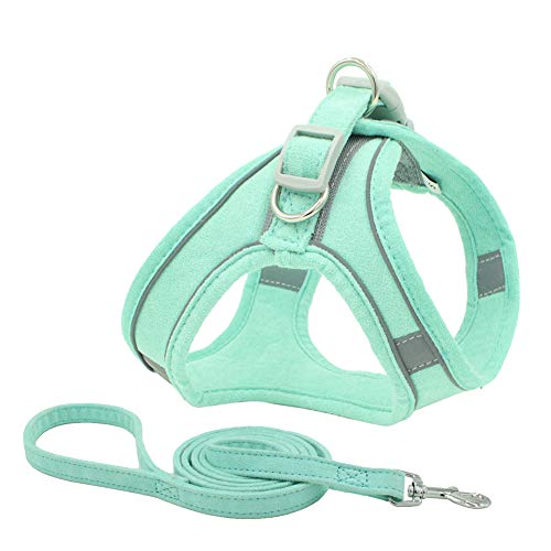 Chaleco con arnés para perro, chaleco de malla para perro, correa para el pecho, arnés para gatos y gatos.