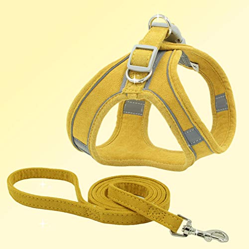 Chaleco con arnés para perro, chaleco de malla para perro, correa para el pecho, arnés para gatos y gatos.