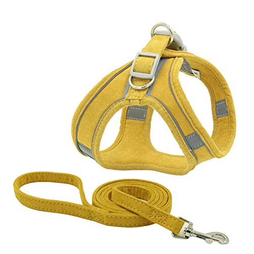 Chaleco con arnés para perro, chaleco de malla para perro, correa para el pecho, arnés para gatos y gatos.
