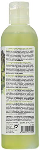 Champú natural antipicores con árbol del té - 250 ml