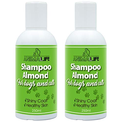 Champú Perros & Gatos 500ml - Aceite de Almendras - Aceites Esenciales de Lavanda & Menta Japonesa - Nutrición - Fácil de Peinar - Olor Agradable - Pelo Brillante & Piel Sana