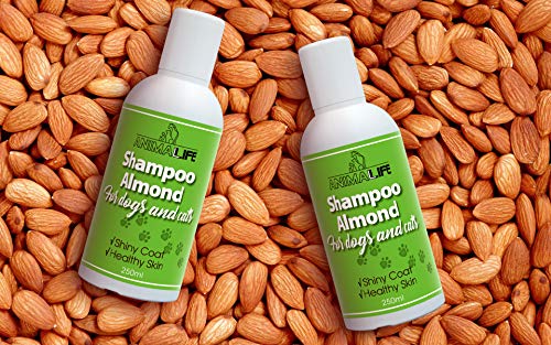 Champú Perros & Gatos 500ml - Aceite de Almendras - Aceites Esenciales de Lavanda & Menta Japonesa - Nutrición - Fácil de Peinar - Olor Agradable - Pelo Brillante & Piel Sana