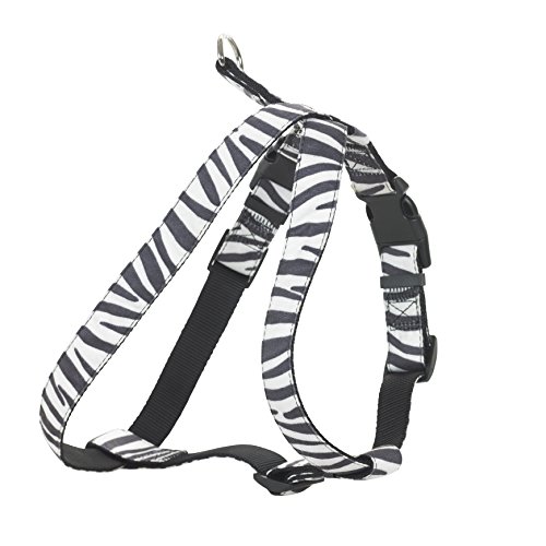CHAPUIS SELLERIE SLA391 Arnés Ajustable de Perro - Arnés Aterciopelado con Estampado de Cebra - Ancho 20 mm - Dimensiones: 40-60 cm - Talla M