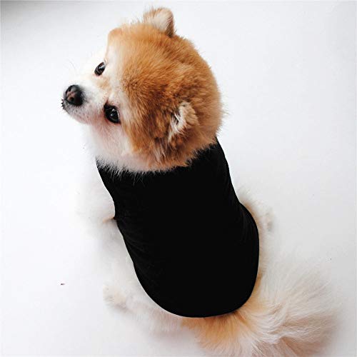 CIDCIJN Ropa para Mascotas,Verano Negro Cachorro Mascota Perro Pequeño Chaleco Ropa Casual Camiseta De Color Puro para Gatos Perros Mascotas Tshirt Suave Ropa,L
