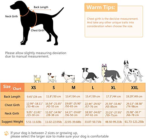 CITÉTOILE Perro Chaleco Salvavidas Chaqueta Mascotas Salvavidas Reflexivo para Piscina, Playa, Canotaje, para Perros pequeños, medianos, Grandes Que entrenan con manija de Rescate Naranja S