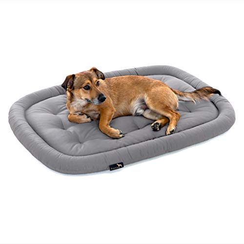 cojín para perros, de Pointer, ortopédica, estable, antiarañazos, para verano, reversible, limpieza fácil, apto para secadora, lavable completamente a 95°C, calidad prémium, tamaño y color a elegir